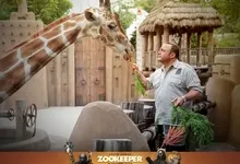 movies carrots kevin james giraffes zookeeper movie 1600x1200 wallpaper Art HD Wallpaper